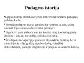 Ligos podagros pristatymas 2 puslapis