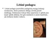 Ligos podagros pristatymas 14 puslapis