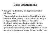 Ligos podagros pristatymas 4 puslapis