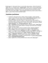 Lietuvių literatūros pradininkai 4 puslapis