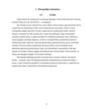 MONOPOLIJOS KAINODARA 4 puslapis