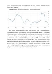 Infliacija ir Rusijos infliacijos rodiklio apžvalga 13 puslapis