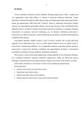 Motyvacijos ir motyvavimo savo profesinėje veikloje naudingumo analizė 3 puslapis