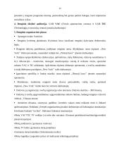 Renginių organizavimas įmonėje 17 puslapis