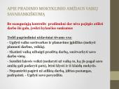 Vaikų atsakomybės ugdymas šeimoje 13 puslapis