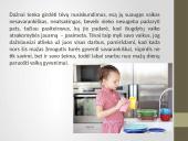 Vaikų atsakomybės ugdymas šeimoje 3 puslapis