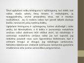 Vaikų atsakomybės ugdymas šeimoje 4 puslapis