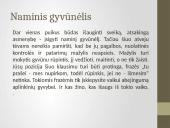 Vaikų atsakomybės ugdymas šeimoje 8 puslapis