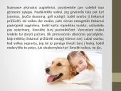 Vaikų atsakomybės ugdymas šeimoje 9 puslapis