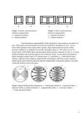 Galios transformatoriai, jų konstrukcija, veikimo principas, parametrai 6 puslapis