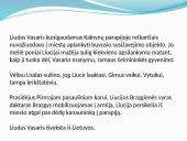 Liudo Vasario ir Liucės santykiai 9 puslapis