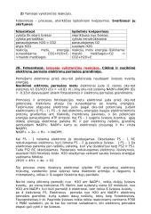 Biochemijos konspektas 2 kurso farmacininkams (antra dalis) 17 puslapis