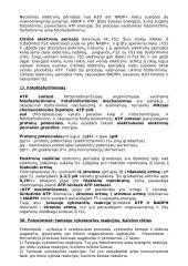 Biochemijos konspektas 2 kurso farmacininkams (antra dalis) 18 puslapis