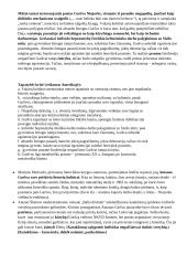 Antanas Škėma - XX a. vidurio lietuvių rašytojas, katastrofinio modernizmo atstovas 2 puslapis