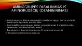 Aminorūgščių skaidymas 6 puslapis