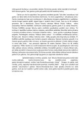 Kaip lietuvių literatūroje atskleidžiamas žmogaus santykis su gamta? 2 puslapis
