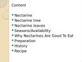 Nectarine 2 puslapis