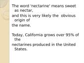 Nectarine 12 puslapis
