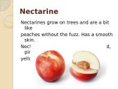 Nectarine 3 puslapis