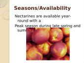 Nectarine 7 puslapis