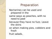 Nectarine 10 puslapis