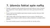 Darbas apie naftą 12 puslapis