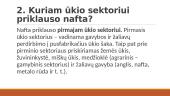 Darbas apie naftą 4 puslapis