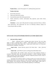 UAB "Impuls LTU" situacijos analizė 3 puslapis