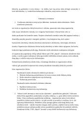 UAB "Impuls LTU" situacijos analizė 5 puslapis