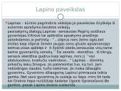 Skerdžiaus paveikslas 12 puslapis