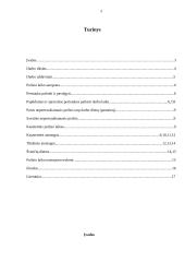 Poilsio laiko rūšys 2 puslapis