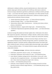 Poilsio laiko rūšys 13 puslapis