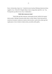 Poilsio laiko rūšys 15 puslapis