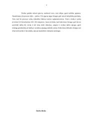 Poilsio laiko rūšys 3 puslapis