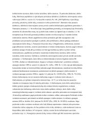 Poilsio laiko rūšys 7 puslapis