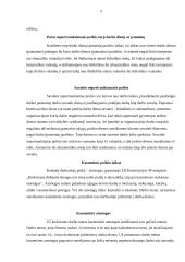 Poilsio laiko rūšys 9 puslapis