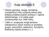 E leduose ir E jogurtuose 4 puslapis