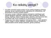 E leduose ir E jogurtuose 7 puslapis