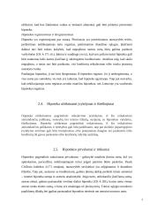 Antstolio veikla bei funkcijos hipotekos sandoriuose 7 puslapis