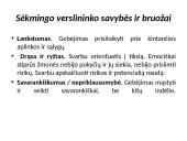 Asmenybės įtaka verslo sėkmei 7 puslapis