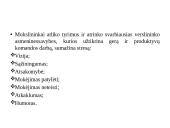 Asmenybės įtaka verslo sėkmei 9 puslapis