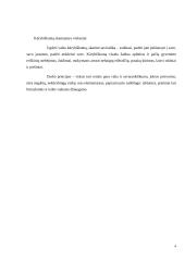 Praktika darželyje 4 puslapis