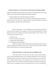 Praktika darželyje 5 puslapis