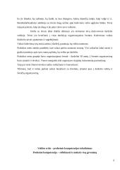 Praktika darželyje 6 puslapis