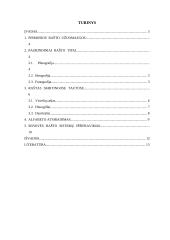 Raštas ir jo raida referatas 2 puslapis