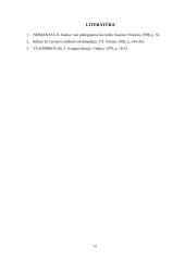 Raštas ir jo raida referatas 13 puslapis