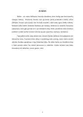 Raštas ir jo raida referatas 3 puslapis