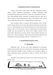 Raštas ir jo raida referatas 4 puslapis