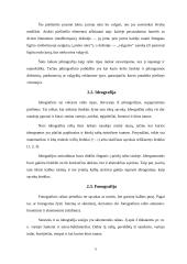 Raštas ir jo raida referatas 5 puslapis