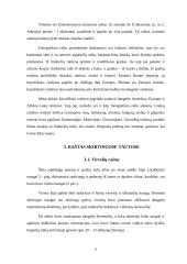 Raštas ir jo raida referatas 6 puslapis